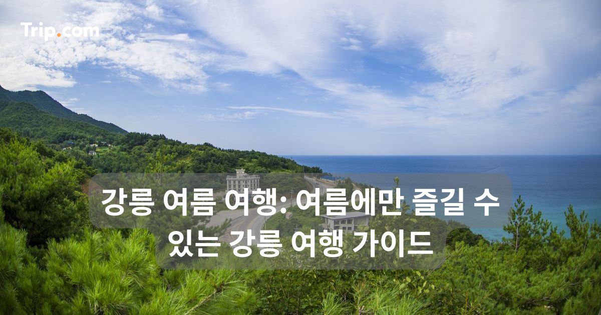 강릉 여름 여행: 여름에만 즐길 수 있는 강릉 여행 가이드 | 트립닷컴