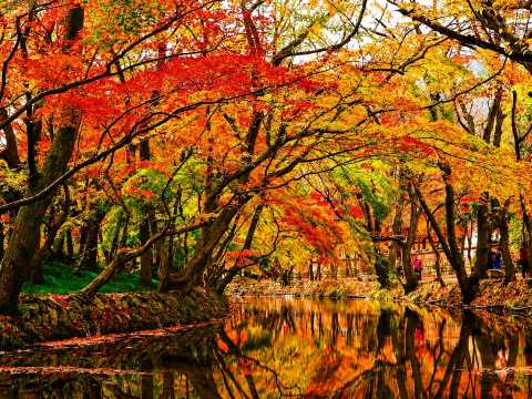 Autumn in Taiwan