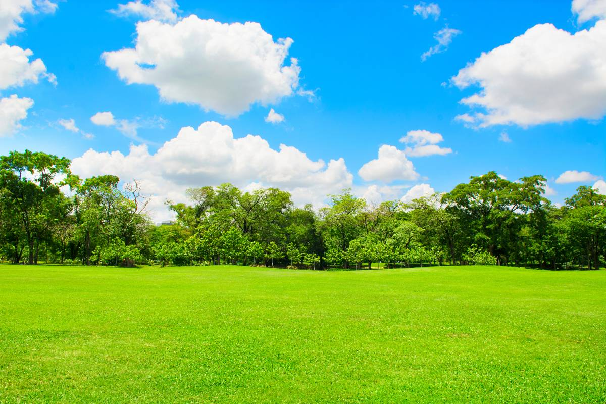 Century Park