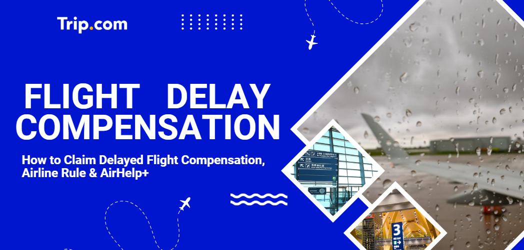 Flight Delay Compensation