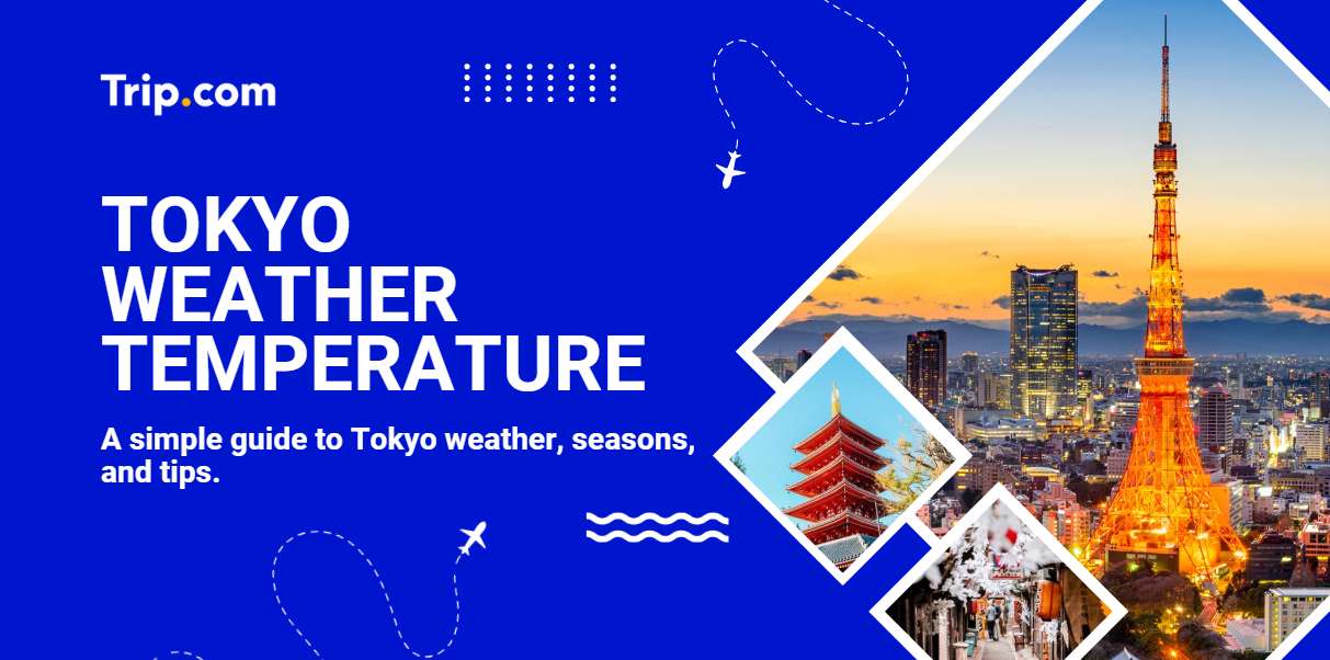 Tokyo Weather Temperature