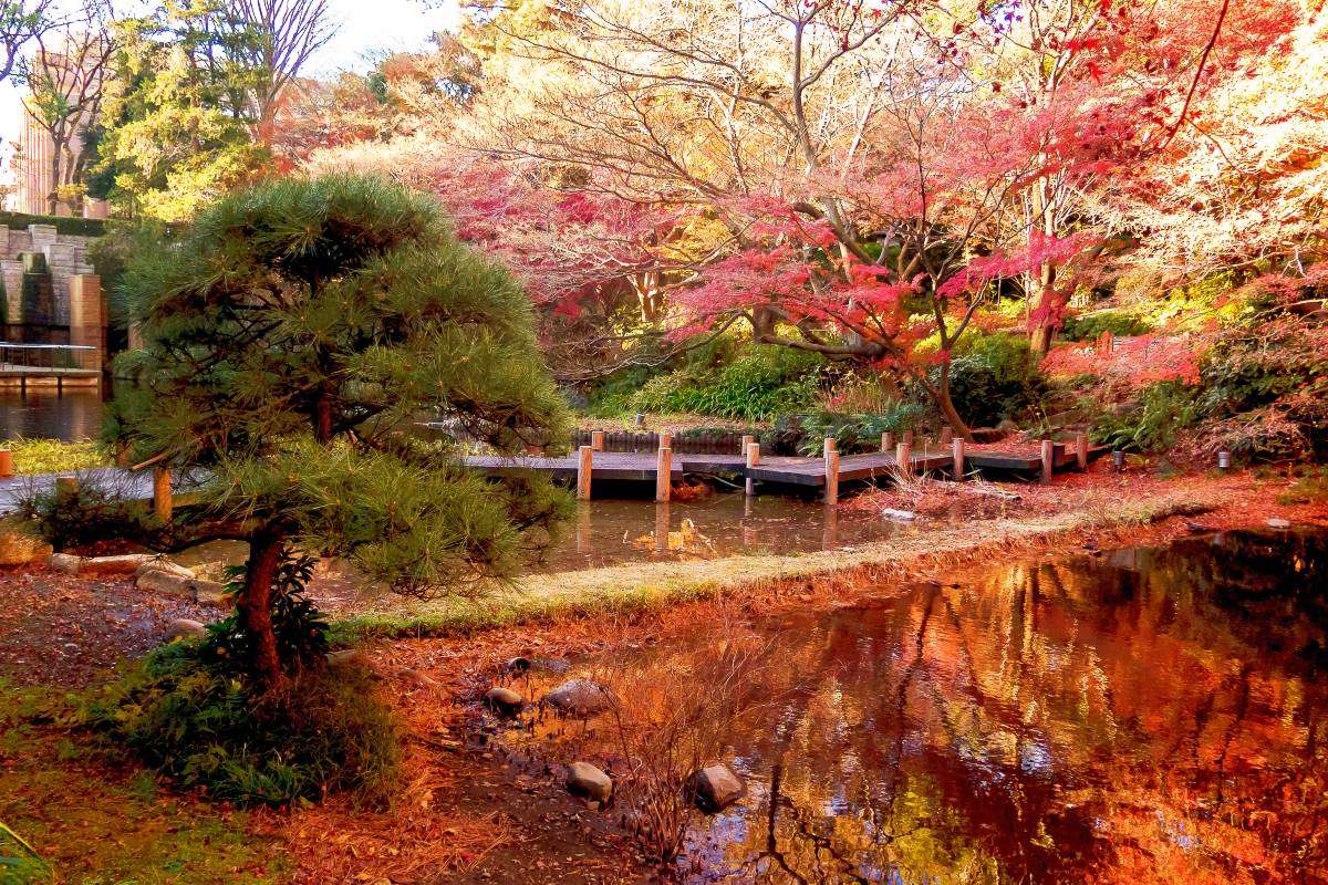 สวนสาธารณะอุเอโนะ