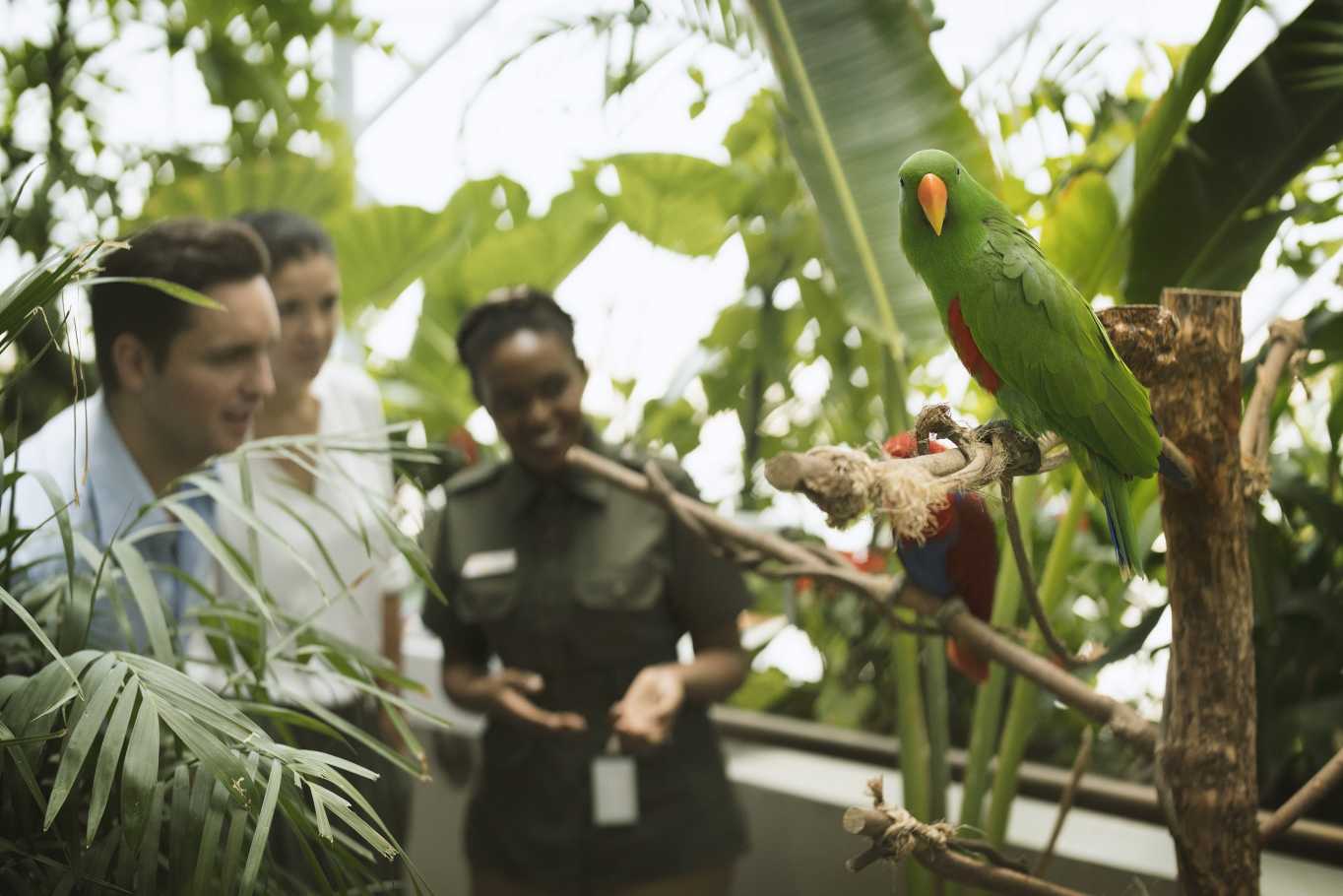 Как добраться до Грин пленеь Дубай