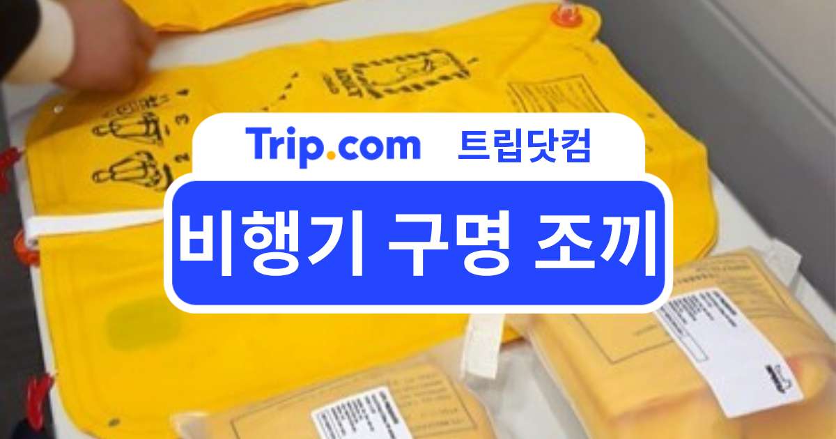 비행기 구명 조끼 제대로 알기