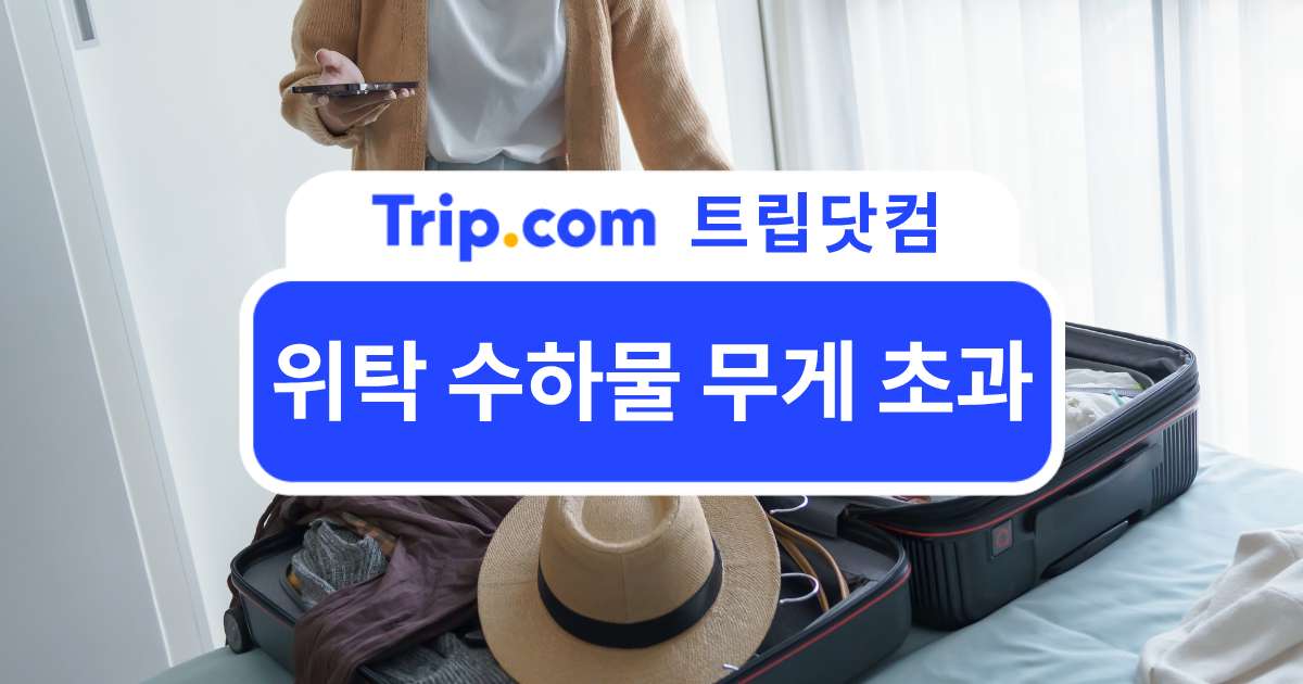 위탁 수하물 무게 초과, 항공사별 기준부터 무게 줄이기까지 | 트립닷컴