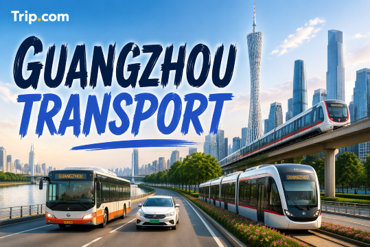 Guangzhou Transport Guide: Best Ways to Get Around the City