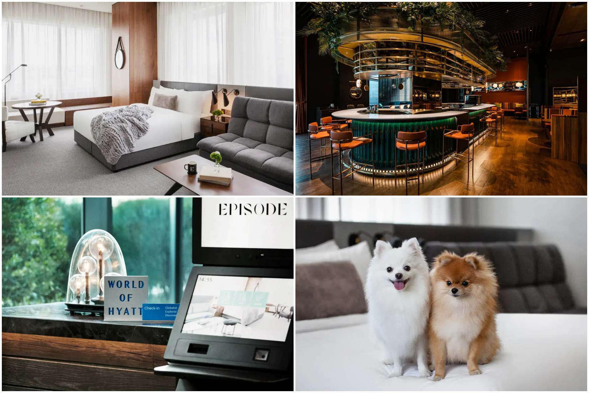 新竹伊普索 - 凱悅尚選飯店