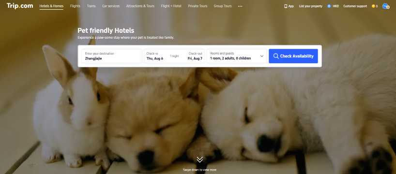 Finding Pet-Friendly Accommodation: Where to Stay When Traveling with Your Pet