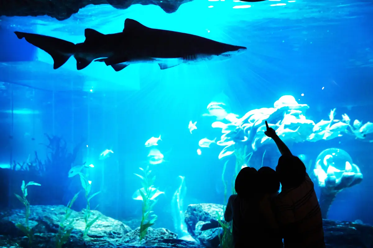 Busan Aquarium