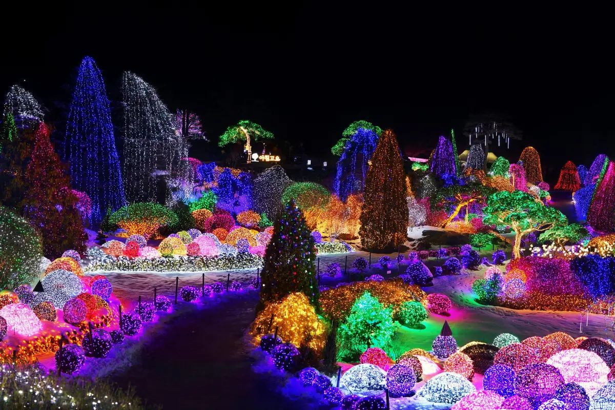 2.アチムゴヨ樹木園イルミネーション