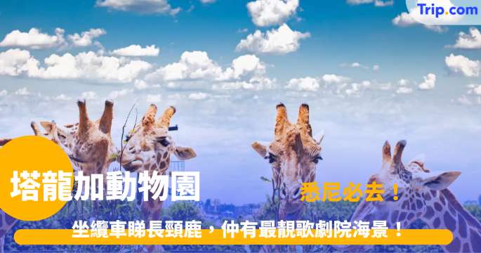 塔龍加動物園 | 悉尼必去！門票點買最平？教你避開排隊人潮，一日玩盡 Taronga Zoo！ | Trip.com