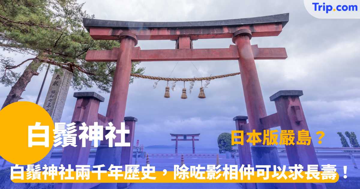 白鬚神社 | 琵琶湖水上鳥居參拜攻略與交通貼士 | Trip.com