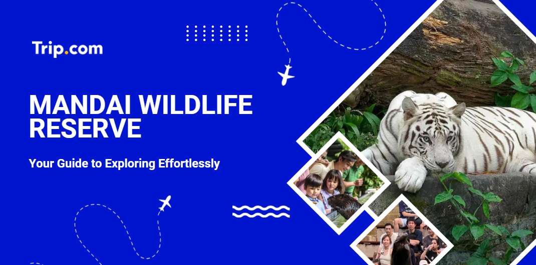 Mandai Wildlife Reserve