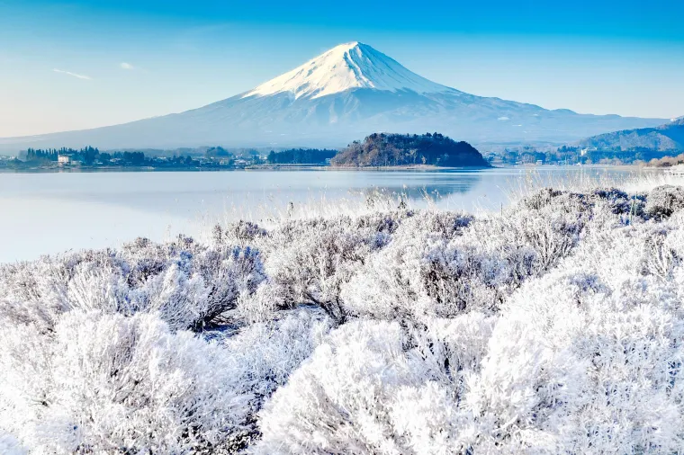 Mt Fuji