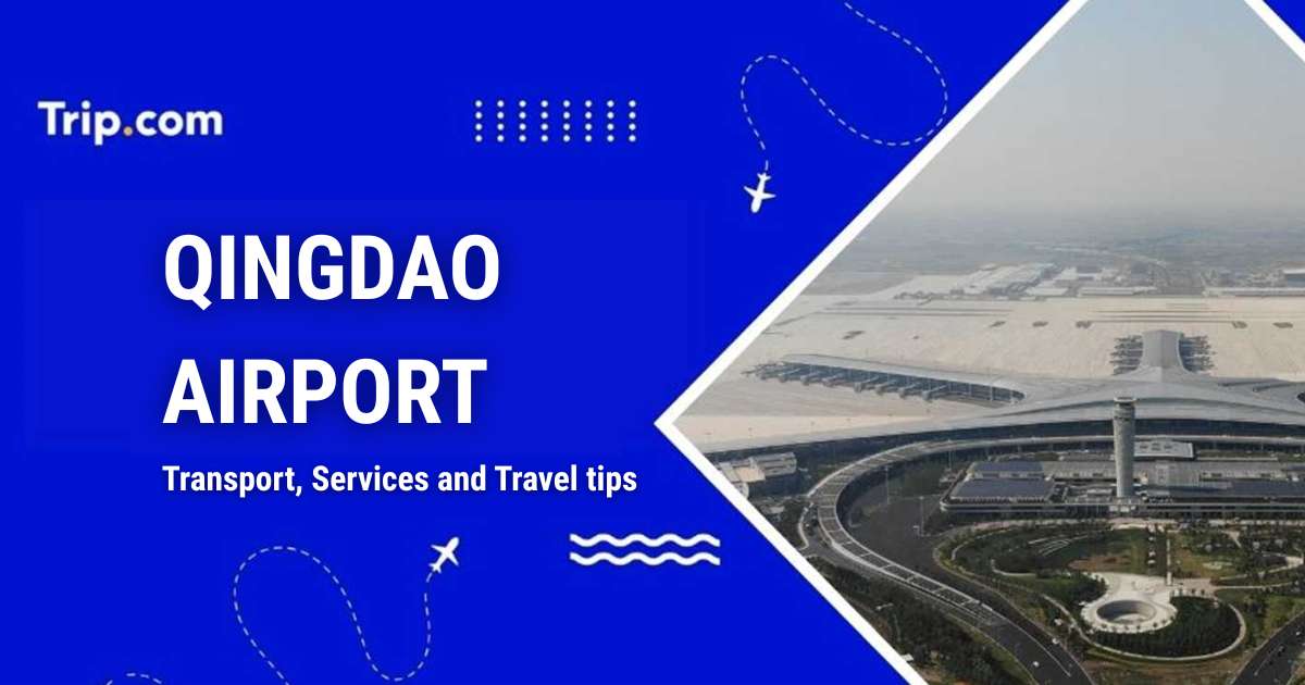 Qingdao Airport: Transport, Services and Travel tips