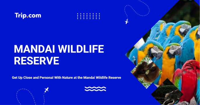 Mandai Wildlife Reserve