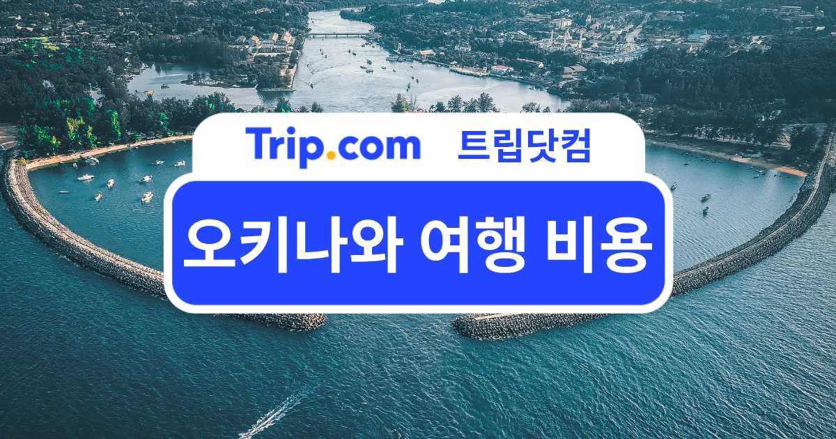 오키나와 여행 비용