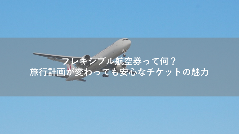 フレキシブル航空券って何?