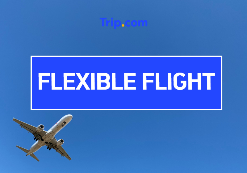 Flexible Flight