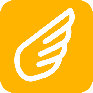 FlyTaxi