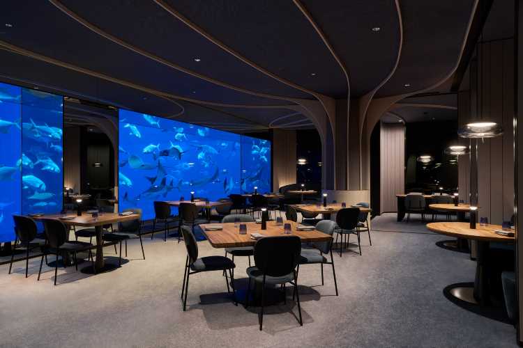 Где поесть в Singapore Oceanarium