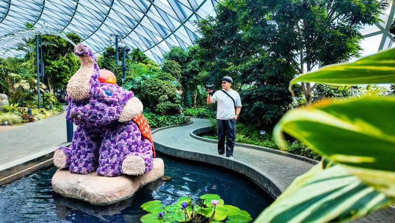 Canopy Park @ Jewel Changi Airport