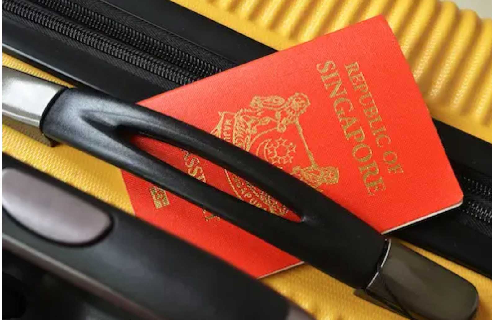 Renewal Fee Singapore Passport