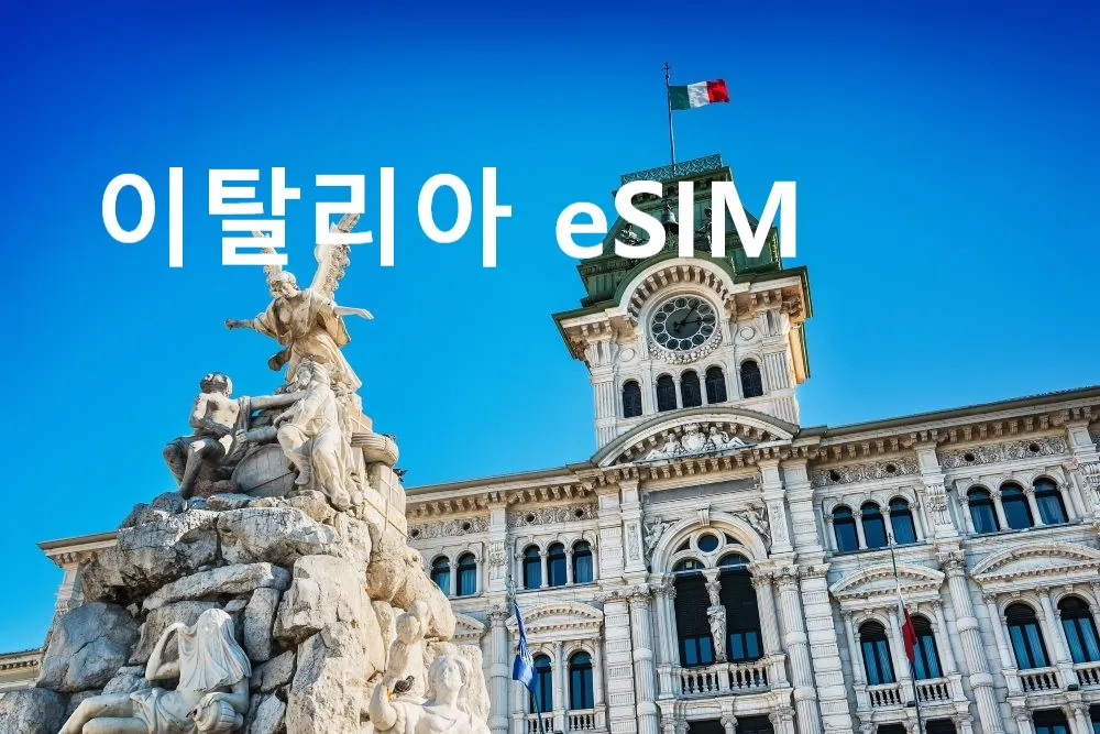 이탈리아 이심 사용 가능 확인 방법