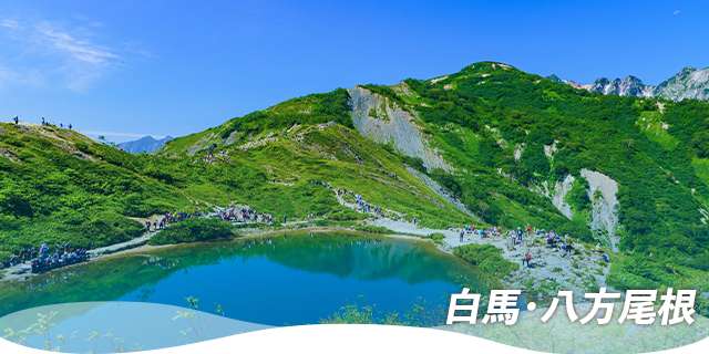 標高1,800mの癒し避暑地・白馬八方尾根
