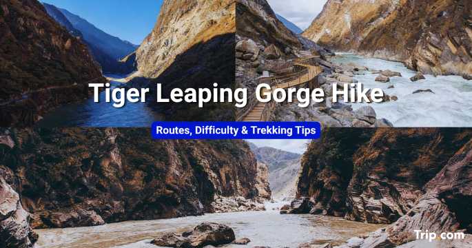 Tiger Leaping Gorge Hike: Routes, Difficulty & Trekking Tips