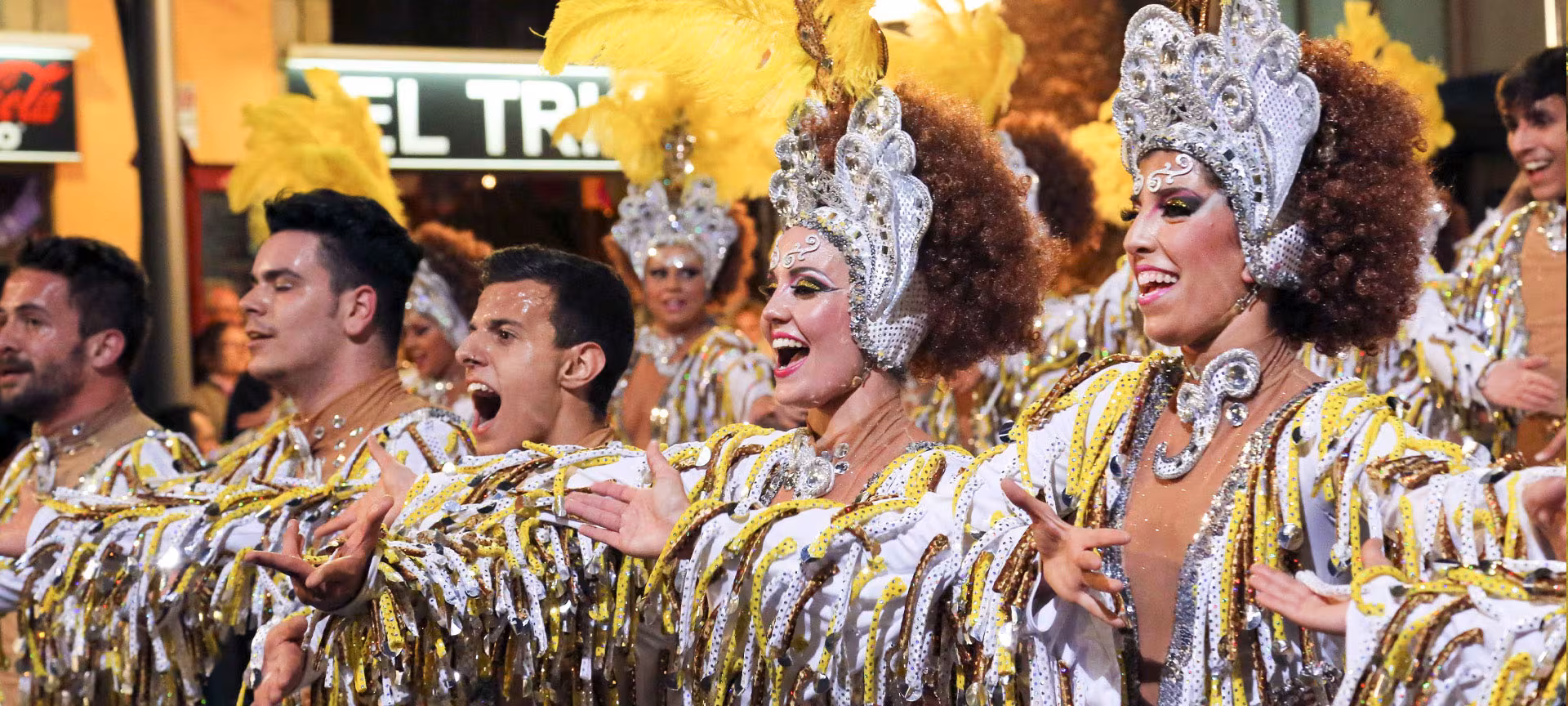 Carnival of Santa Cruz de Tenerife