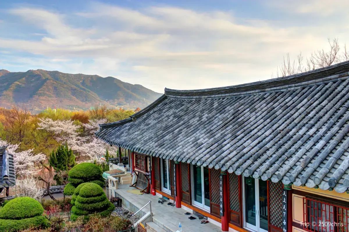 Daegu