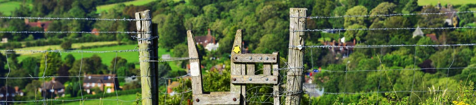 Visiting the South Downs by Train: Best UK National Parks