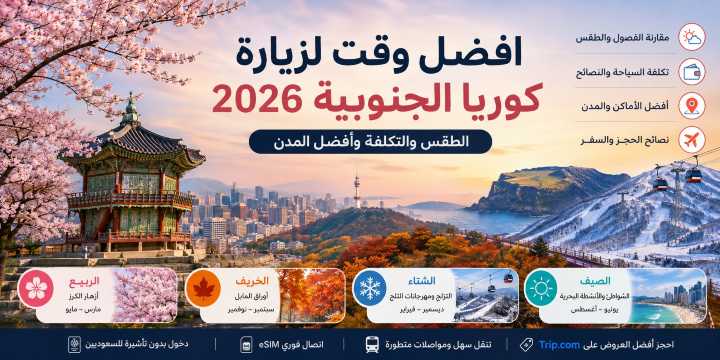 افضل وقت لزيارة كوريا الجنوبية 2026: الطقس والتكلفة وأفضل المدن | Trip.com