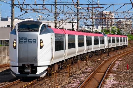 What Is the Narita Express (N'EX)?