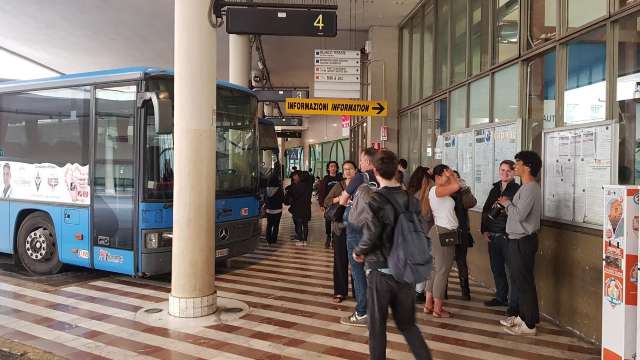 Bus