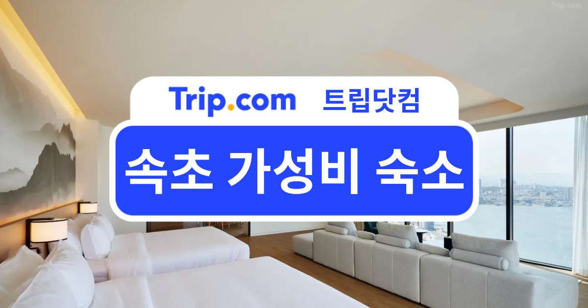 속초 가성비 숙소 추천, 가성비와 접근성을 모두 갖춘 호텔 | 트립닷컴