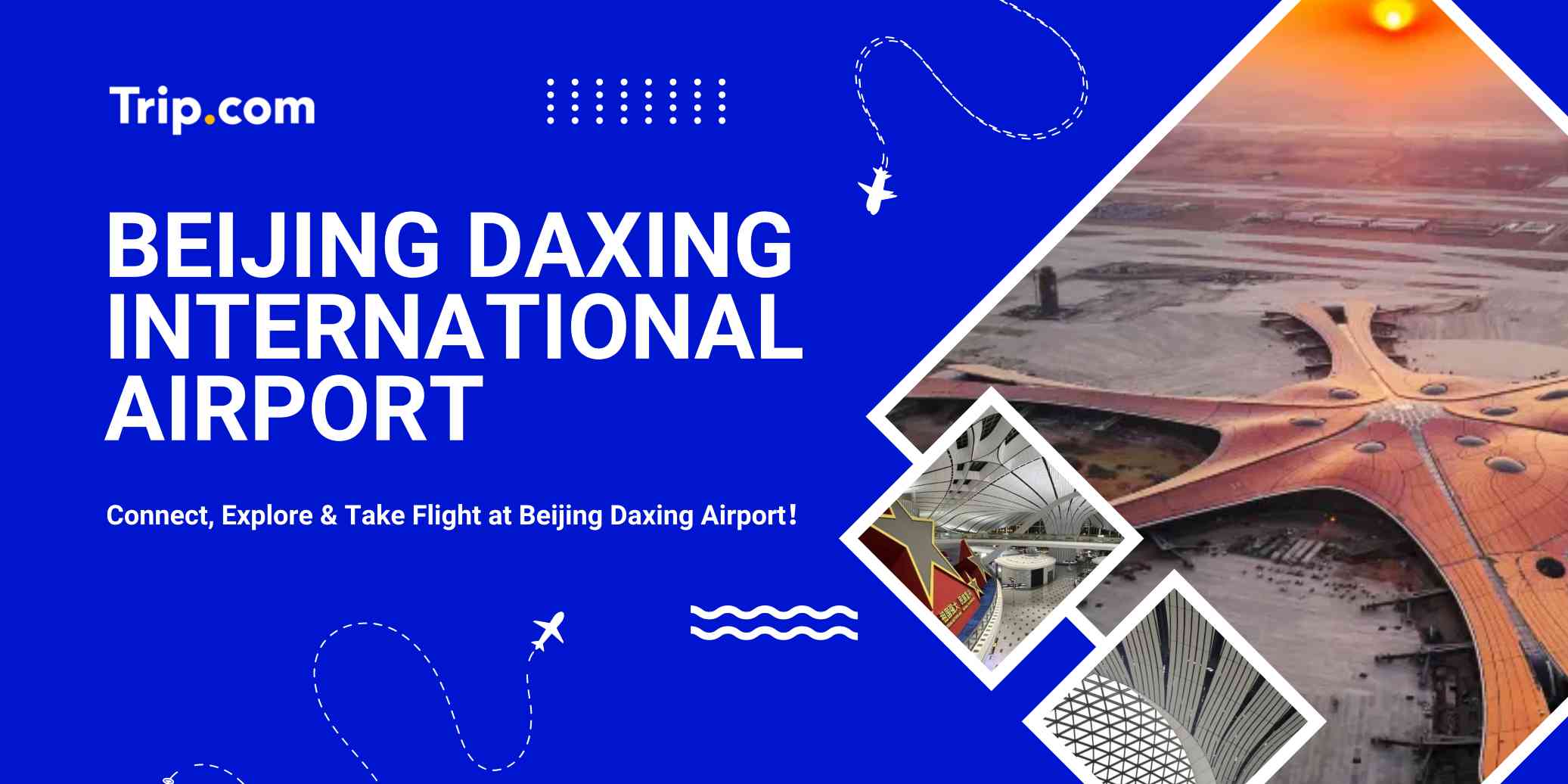 Beijing Daxing International Airport (PKX) Guide 2026: Terminals, Transport & Facilities