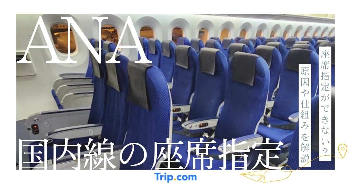 ANA国内線で座席指定ができない？新シンプル運賃の対処法とは