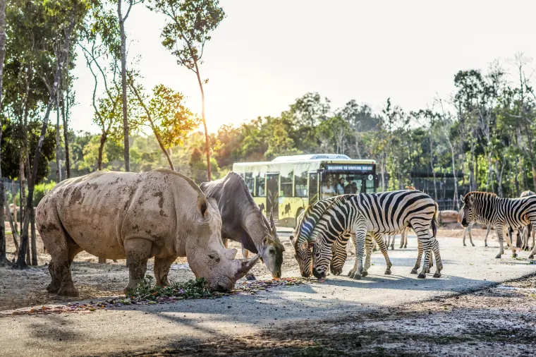 Vinpearl Safari Phu Quoc