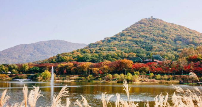 Incheon Travel Guide: Where to Stay, What to Do & Transport Tips