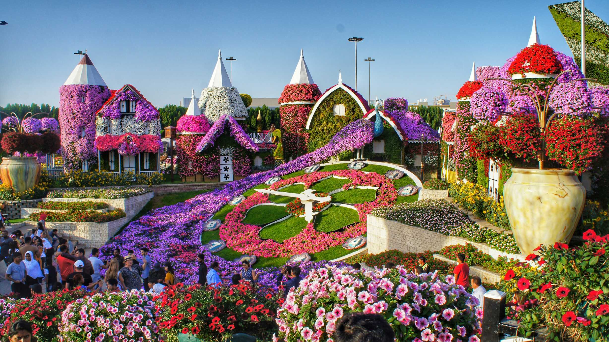 Miracle Garden в Дубай
