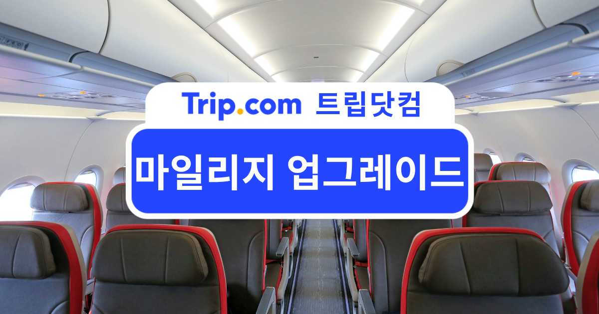 마일리지 업그레이드 가이드