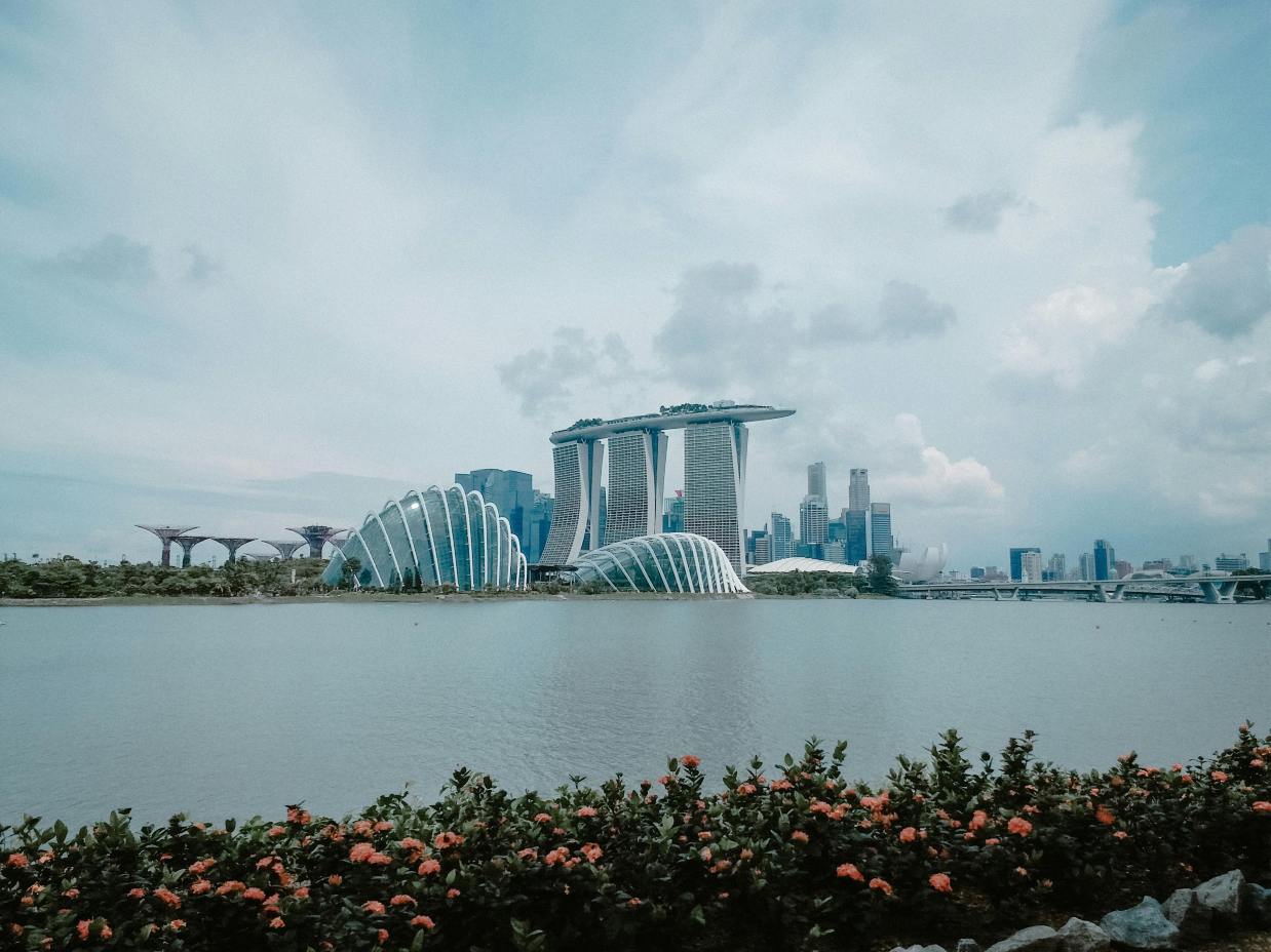 When Can I Submit My SG Arrival Card?