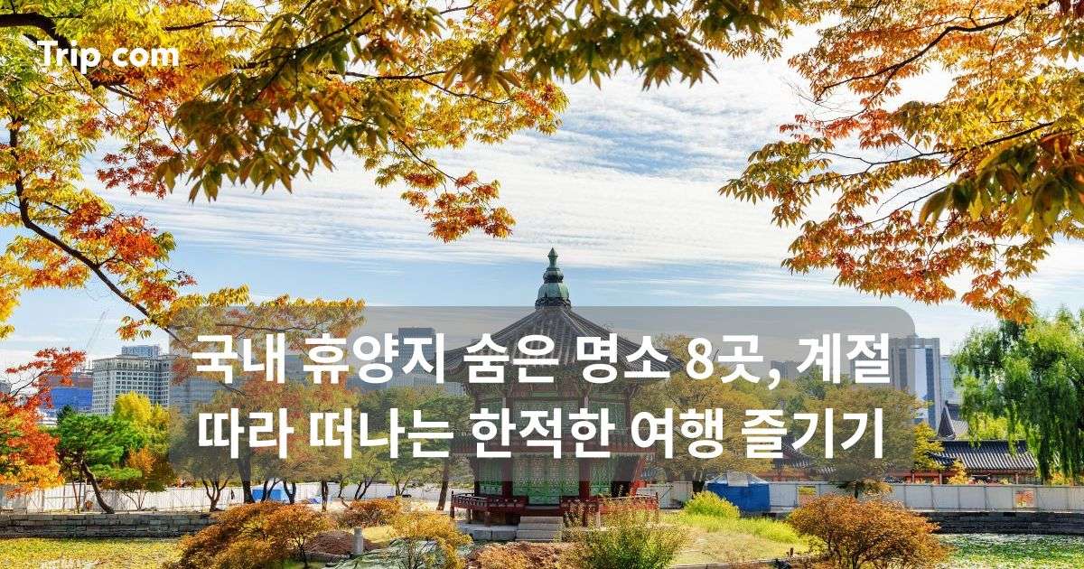 국내 휴양지