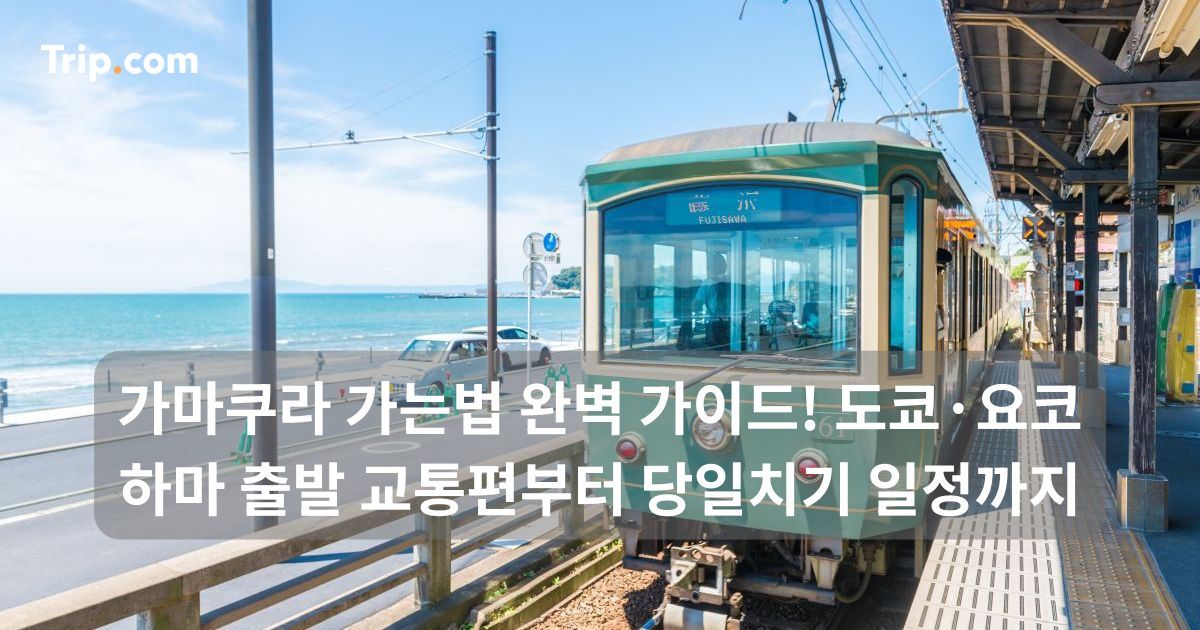 가마쿠라 가는법 가이드! 교통편부터 당일치기 일정까지 | 트립닷컴