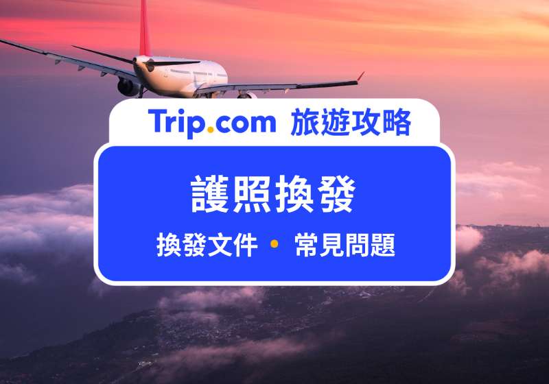 護照換發