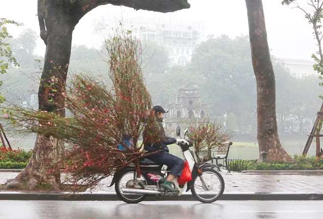 погода в Ханое 