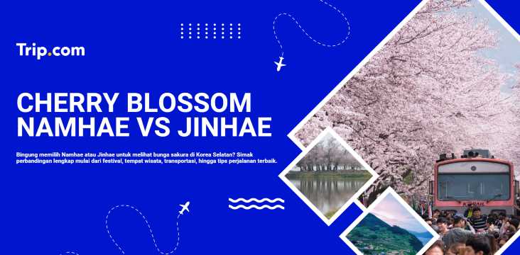 Namhae vs Jinhae: Mana yang Lebih Indah untuk Melihat Sakura di Korea?