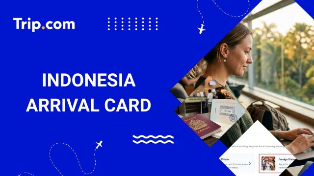 Indonesia Arrival Card